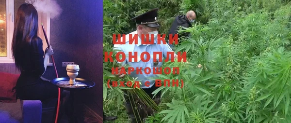 гидра Богданович